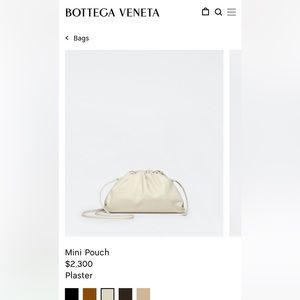 Bottega Veneta Mini Pouch